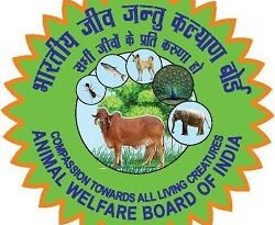 जीव जन्तु कल्याण बोर्ड ने जारी की एडवाइजरी,गर्मी में पशुओं को लू से बचाएं