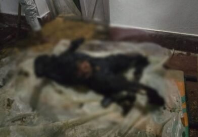 जमीन विवाद में छोटे भाई ने बड़े भाई को जलाकर मार डाला, आरोपी गिरफ्तार