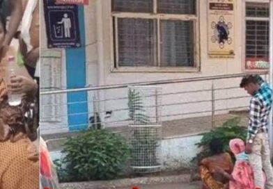 मप्र में आवारा कुत्तों का आतंक, सतना में 40 लोग डॉग बाईट का शिकार