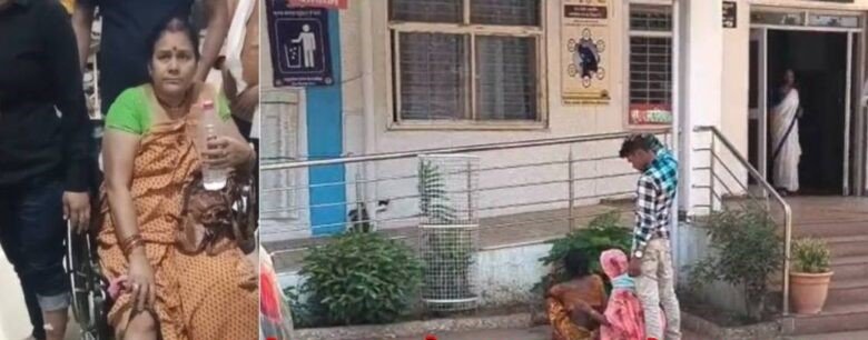 मप्र में आवारा कुत्तों का आतंक, सतना में 40 लोग डॉग बाईट का शिकार