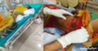 तेंदूपत्ता तोड़ने गई महिलाओं पर सूअर ने किया हमला 5 गंभीर