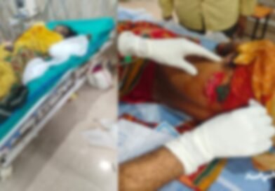 तेंदूपत्ता तोड़ने गई महिलाओं पर सूअर ने किया हमला 5 गंभीर