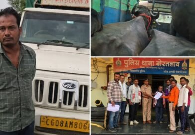भैंसों से भरी पिकअप मामले में नया मोड़