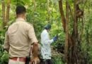 महामाया पहाड़ के जंगल में महिला का कंकाल मिला