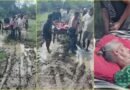 20 साल से सड़क की आस, कीचड़ भरे रास्ते पर बुजुर्ग महिला को लेकर चले ग्रामीण