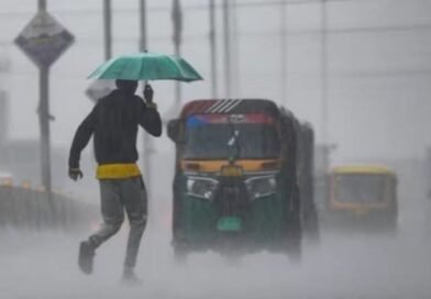 राज्य में मानसून ने पकड़ी रफ़्तार, बिलासपुर में 28 सेंटीमीटर बारिश