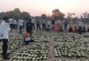 10,160 तेन्दूपत्ता संग्राहकों के खातों में पहुँची 1.39 करोड़ की बोनस राशि