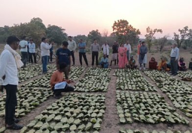 10,160 तेन्दूपत्ता संग्राहकों के खातों में पहुँची 1.39 करोड़ की बोनस राशि