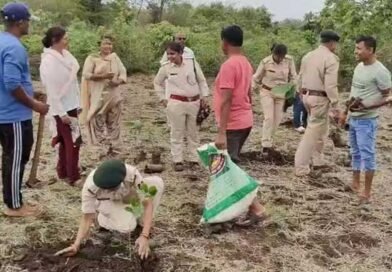 वन भूमि से तीसरी बार अवैध कब्जा हटाकर, किया गया पौधरोपण