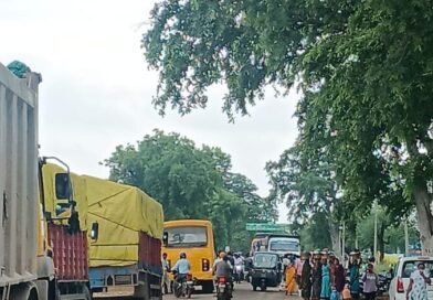 सड़क पर रोज कट रहा गोवंश, जिम्मेदार कौन? गोवंश की सुरक्षा की उठ रही मांग…